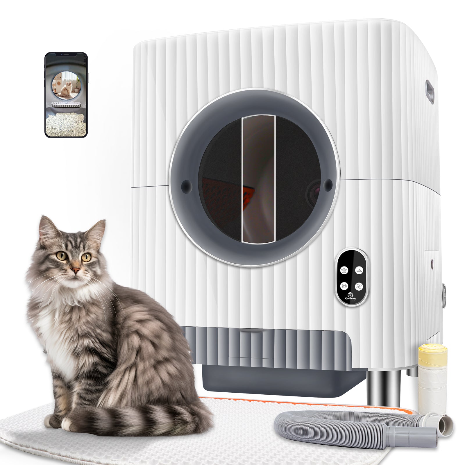 Wholesale SUNNYCLUE 1 Box 72Pcs Cat Charms Cats Charms Bulk Pet