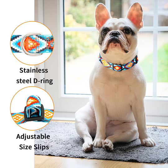 Charmkit Dog Collar for Small Medium Large Dogs